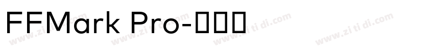 FFMark Pro字体转换